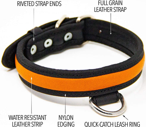 Premium Leather Dog Collar - Best Full Grain Heavy Duty Genuine Leather Collar (Orange, Medium)...