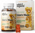 Wild & Organic Lion's Mane Gummies 1000mg - Natural, Vegan Hericium Erinaceus Mushroom Supplement - Brain Health, Focus, Immune, Antioxidant Suppo...