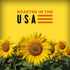 BIGS Sunflower Seeds, Cracked Pepper Flavor, 5.35 oz....