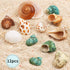 Hermit Crab Shells Medium and Large - 12PCS Growth Turbo Seashells Size 1.4"-3.2" for Small Medium and Large Crabs - Saltwater Hermit Crab Supplie...