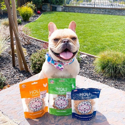 HOLI Freeze Dried Rabbit Treats for Dogs- All Natural Healthy Dog Treats, 100% Made in USA - Single Ingredient - Human Grade - Grain Free - Diabet...