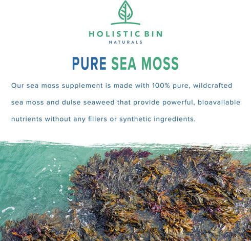 Organic Sea Moss Capsules 100% Pure Caribbean Sea Moss + Dulse Seaweed | Wild Harvested | No Fillers | Rich in Antioxidants, Minerals, and Iodine ...
