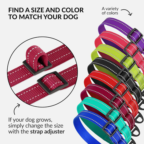 CollarDirect Reflective Martingale Dog Collar Nylon Heavy Duty Training Pet Collars for Small Medium Large Dogs Puppy Black Blue Mint Green Red Pi...