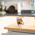DEMDACO Dean Crouser Horse Head Watercolor Brown On White 16 Ounce Glossy Stoneware Mug With Handle...