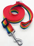 Adjustable Nylon Dog Leash, 6FT/10 FT Long Dog Leashes for Small Medium Large Dogs (1 in x 10 ft, Rainbow)...