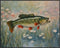 Posterizer 1 pcs- cute bass fish with nature background-Art for Animal Lovers-Landscape & Nature Art- Living Room Bedroom Decor- unframed wall art...