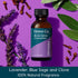 Grove Co. Air Freshener Concentrate (4 x 1 fl oz) Liquid Room Spray Refills, SANCTUARY Room Fragrance - 100% Natural Lavender, Blue Sage and Clove...