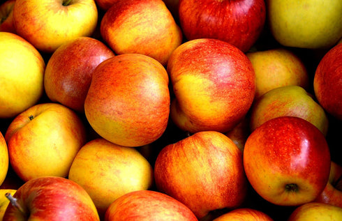 Apple Pectin 4 Ounces (USP Qualified) (114 Grams)...