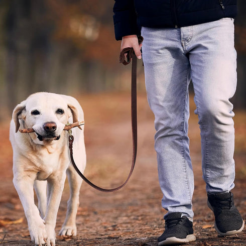 QUMY Leather Dog Leash 6ft, Heavy Duty Dog Training Leash for Large and Medium Dogs, Soft and Strong Genuine Leather Braided Handmade Long Lead Le...