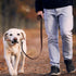 QUMY Leather Dog Leash 6ft, Heavy Duty Dog Training Leash for Large and Medium Dogs, Soft and Strong Genuine Leather Braided Handmade Long Lead Le...