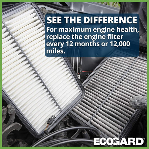 ECOGARD XA10469 Premium Engine Air Filter Fits 2018-2024 Volkswagen Tiguan, 2019-2025 Audi Q3, 2015-2025 Volkswagen GTI, 2015-2025 Audi A3 Quattro...