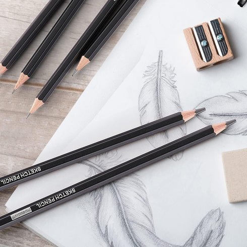 PANDAFLY Professional Drawing Sketching Pencil Set - 12 Pieces Graphite Pencils(14B - 2H), Ideal for Drawing Art, Sketching, Shading, Artist Penci...