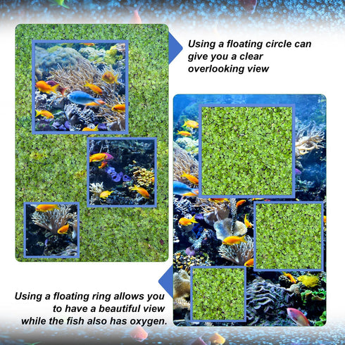 5pcs Aquarium Floating Plant Rings, Square Foam Fish Feeding Corral Fish Tanks Food Rings Floating Plant Feeding Ring for Keeping Floating Plants ...