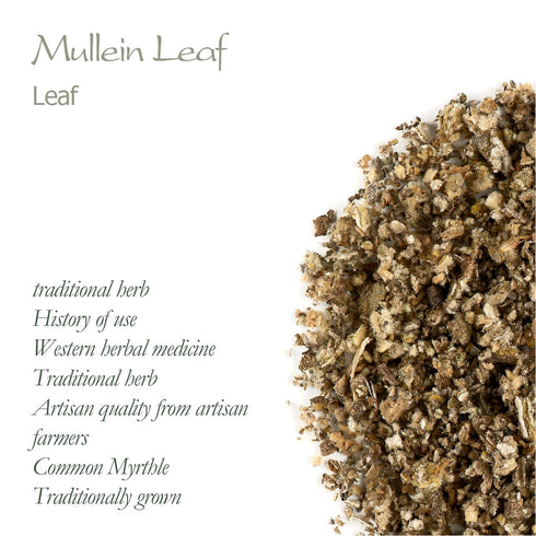 Mullein Leaf Organic Tea Herb - Gordolobo Tea Verbascum - Mullen Leaf Tea Mullien Leaf Mulein Leaf Mullier Mullin Leaf Mulien Muillen Tea Mullein ...