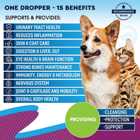 Cat & Dog Multivitamin Liquid with Glucosamine & Cranberry | 15 in 1 Health Supplements for Urinary Tract Kidney, Bladder, Hip & Joint, Skin & Coa...