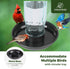 Kingsyard Bird Water Feeder, 16 Oz Glass Bird Water Dispenser Bird Waterer with Metal Hanging for Garden Yard Outside Decoration, Green...
