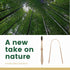 Bamboo Toothbrush and Tongue Cleaner - 4x4 Pack...