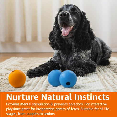 Amazon Basics Rubber Fetch Toy Dog Balls 2.5 Inch 3 Pack, Blue, Orange...