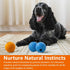Amazon Basics Rubber Fetch Toy Dog Balls 2.5 Inch 3 Pack, Blue, Orange...