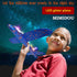 2 pcs Flashing Luminous Glider Plane 2 Flight Mode Aerobatic Superb Charming Shining Foam Airplane can Fly at Night for Kids as The Best Gift. (Le...