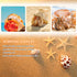 Hermit Crab Shell - Openning Size 0.6"-2" Medium to Large Growth Turbo Seashells Natural Sea Shells for Hermit Crab Supplies, Aquarium Décor, Naut...