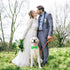 Segarty Bow Tie Dog Collar, Adjustable Green Bowtie Collar for Large Dogs, Durable Dog Neck Tie Tuxedo Comfortable Cotton Pets Bows Grooming Acces...