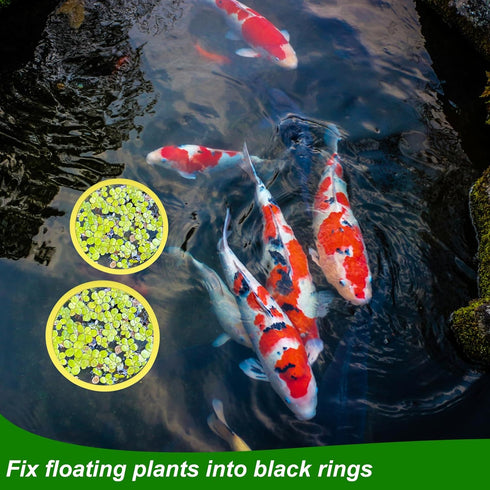 5pcs Aquarium Floating Plant Feed Rings, Round Floating Plant Corral 5 Size Fish Feeding Rings Fish Tank Plant Fence Keep Floating Plants in Place...