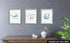 Confetti Fox Kids Bathroom Wall Art Decor - 8x10 Unframed Set of 3 Prints - Sea Animals Dolphin Shark Whale - Wash Brush Flush...