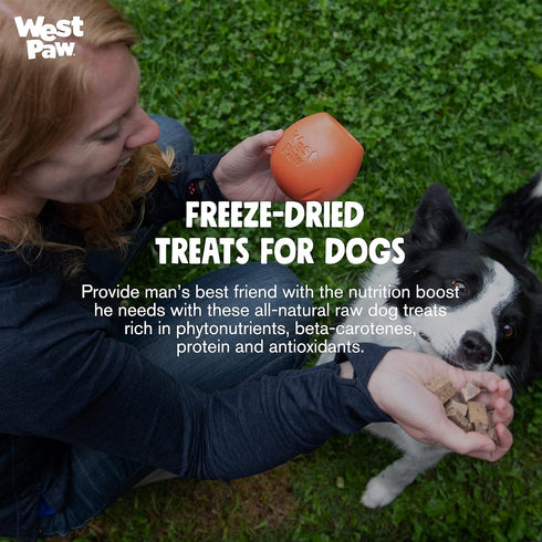 WEST PAW All-Natural Raw Freeze-Dried Dog Treats – Farm-Fresh Pork Training Treats for Dogs – Wholesome Canine Treat for Puppies, Adult Dogs & Sen...
