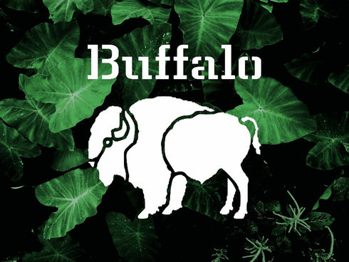 Buffalo Logo Stencil 5.5x5.5 inches Arts and Crafts Material Scrapbooking for Airbrush Painting Drawing and More Reusable Stencil STENCILAIR...