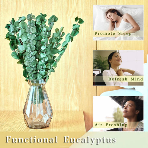 12 pcs Small Dried Eucalyptus Stems 12inchs Real Eucalyptus for Shower Hanging Plants Made from Fresh Eucalyptus Mini Shower Plants Home Bathroom ...