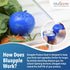 Bluapple Ethylene Gas Absorber Produce Saver Combo Pack - Keeps Fruits & Veggies Fresh in Refrigerator, Lasts up to 3 Months, 8 Packets and 2 Blua...