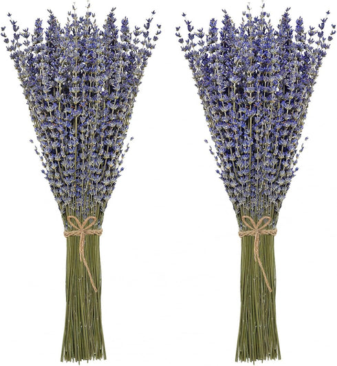 Timoo Dried Lavender Bundles 100 Natural Dried Lavender Flowers for Home Decoration, Photo Props, Home Fragrance, 2 Bundles Pack...