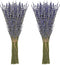 Timoo Dried Lavender Bundles 100 Natural Dried Lavender Flowers for Home Decoration, Photo Props, Home Fragrance, 2 Bundles Pack...