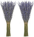 Timoo Dried Lavender Bundles 100 Natural Dried Lavender Flowers for Home Decoration, Photo Props, Home Fragrance, 2 Bundles Pack...
