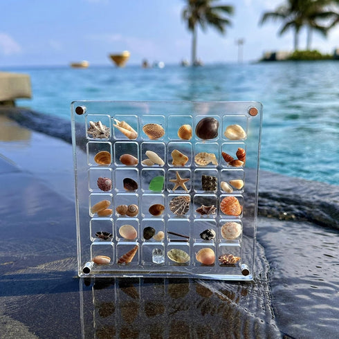Acrylic Seashell Display Box, Magnetic Seashells Storage Box Case, Decorative Small Craft Trinket Organizer Container for Starfish Nail Jewelry Be...