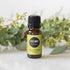 Edens Garden Bergamot Essential Oil, 100% Pure Therapeutic Grade (Undiluted Natural/Homeopathic Aromatherapy Scented Essential Oil Singles) 10 ml...