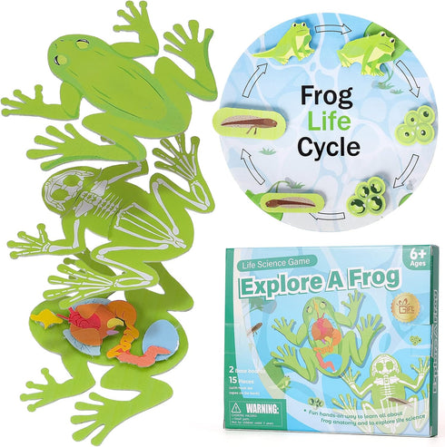 Frog Anatomy Model Dissection Kit for Kids, Soft Felt Frog Science Lab Toy, Biology and Life Science STEM Birthday Toys, Classroom Teaching Aid, E...