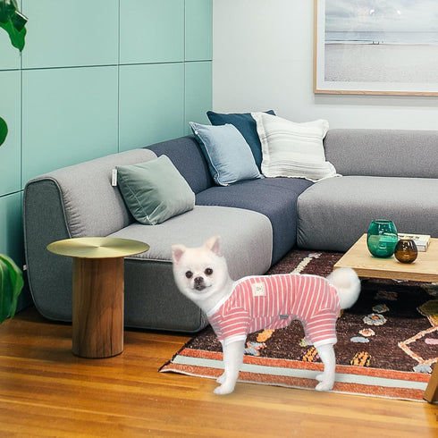 TONY HOBY Female Pet Dog Pajamas, 4 Legged Dog Pjs Jumpsuit with Stripes, Soft Cotton Surgery Recovery Dog Clothes (S, Pink+White-Girls)...