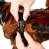 Chicken Harness Hen size with 6-foot Matching belt, Comfortable, Breathable, Small Size, Suitable for Chicken, Duck or Goose Suitable for Weight a...