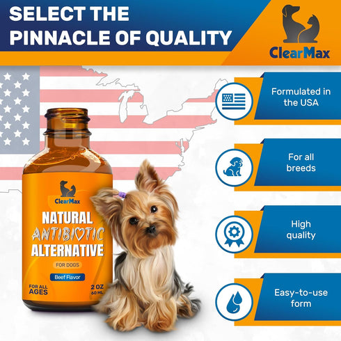 Antibiotic for Dogs ? Dog Antibiotic ? Natural Antibiotics for Dogs ? Pet Antibiotic ? Dog Antibiotics with Beef Flavor ? 2 Oz...