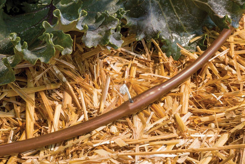 Rain Bird ET256-50S Drip Irrigation Pressure Compensating 1/4" Emitter Tubing, 6" Emitter Spacing, 50 Roll, Brown...