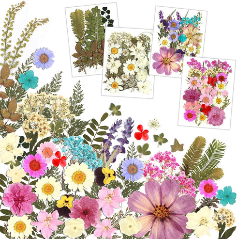 Resiners 100Pcs Dried Pressed Flowers for Resin Molds, Real Pressed Flowers Dry Leaves Kit for Art Crafts Resin Jewelry Making Scrapbook Supplies ...