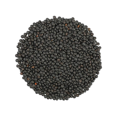 Food to Live Organic Black Lentils, 8 Ounces – Non-GMO, Whole Dry Pulses, Raw, Sproutable, Kosher, Vegan, Bulk Legumes, Black Masoor Daal. Rich in...