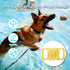 4 Pack Waterproof AirTag Dog Collar Holder Compatible with Apple AirTag, Silicone Hidden Loop Holder for Airtag Tracker, Anti-Lost Dog Collar Air ...