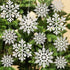 36pcs Snowflakes-Christmas Tree Decorations, Snowflake Ornaments for Tree, Plastic Glitter White Snow Flakes Ornaments, Christmas Indoor Winter Wo...