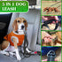 Heavy Duty Dog Leash 4-6Ft Length – Reflective Dog Leash for Medium, Large Dogs – Shock Absorbing Bungee Dog Leash with Zinc Alloy Carabiner, Traf...