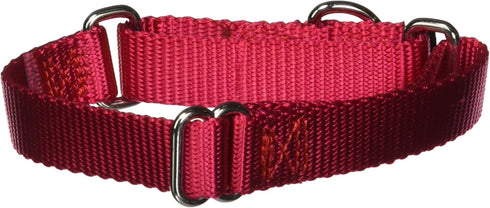 PetSafe Adjustable Martingale Collar - Only Tightens When Dogs Pull, Prevents Slipping Out - Helps with Strong Pullers, Increased Control - Altern...