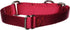 PetSafe Adjustable Martingale Collar - Only Tightens When Dogs Pull, Prevents Slipping Out - Helps with Strong Pullers, Increased Control - Altern...