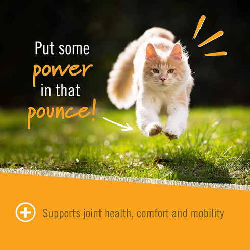 Pet Naturals Hip and Joint Support Supplement for Cats, 30 Chews - Glucosamine, Chondroitin and MSM for Cats...